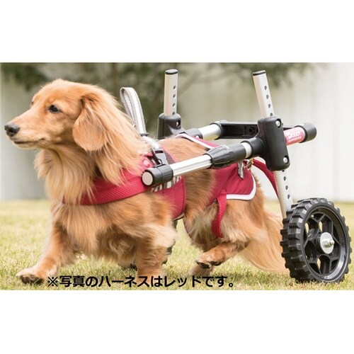 ドギーサポーターS+専用ハーネス DGS