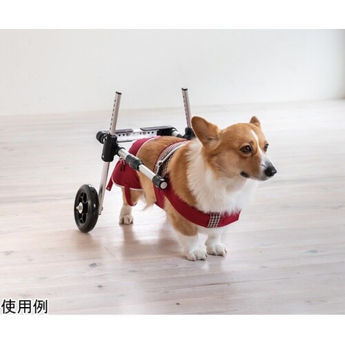 ドギーサポーターM+専用ハーネス DGS