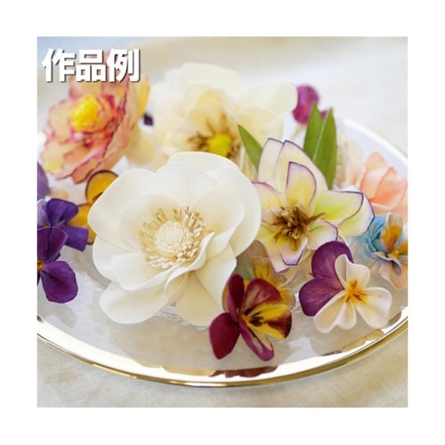 ソラシートW(白)約10g 051625