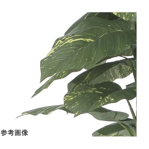 ジャイアントポトス 1.8 2576A3