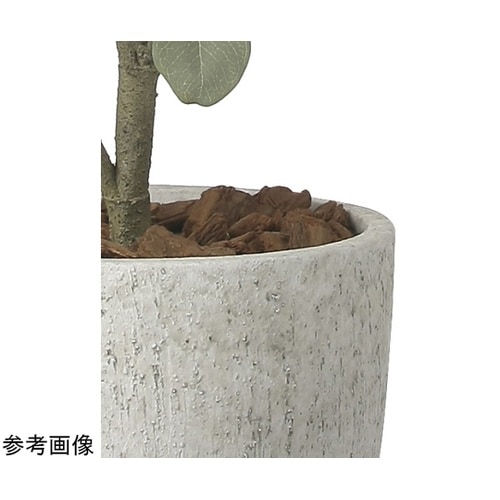 ナチュラルユーカリツリー 1.5 242