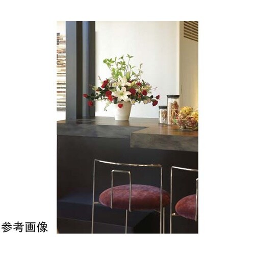 フラッシュレッド 2479P165