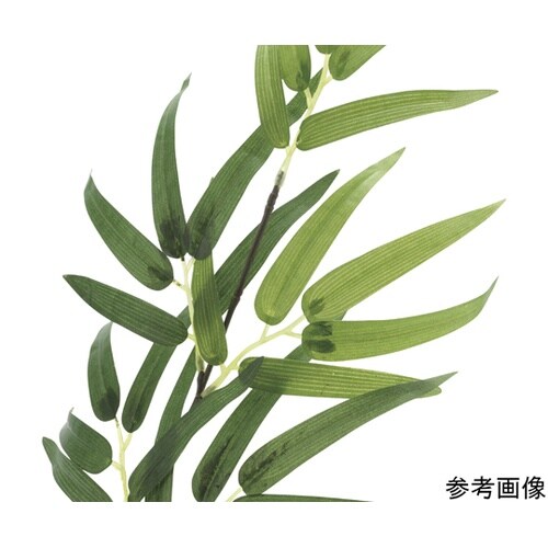 黒竹 1.8(幹:天然黒竹) 775A4