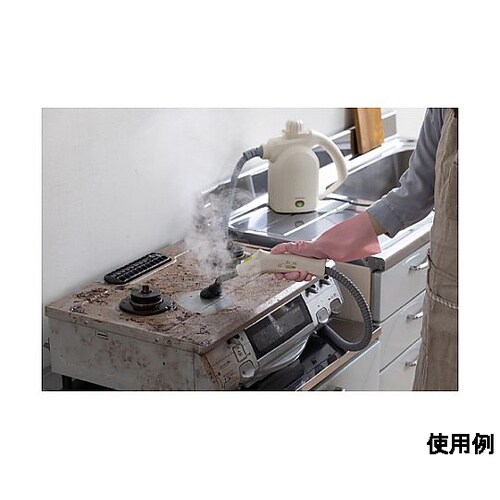 AC100V/1000W スチームクリー