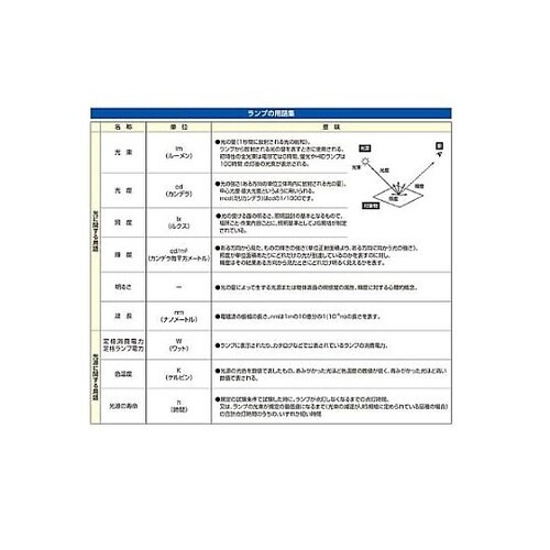 AC100V/30W/E11 電球/ハロ