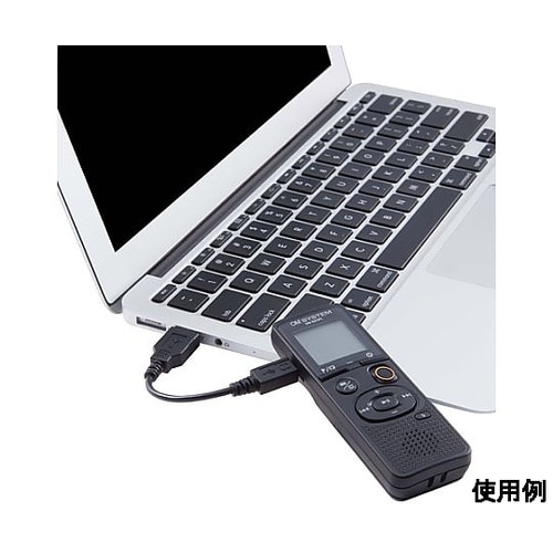 4GB/1570時間 ICレコーダー E