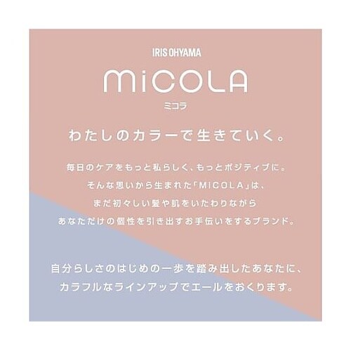 AC100V/1200W ヘアードライヤ