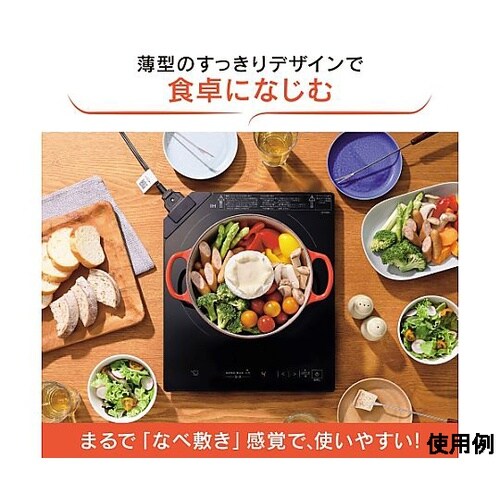 AC100V/1300W 305x365