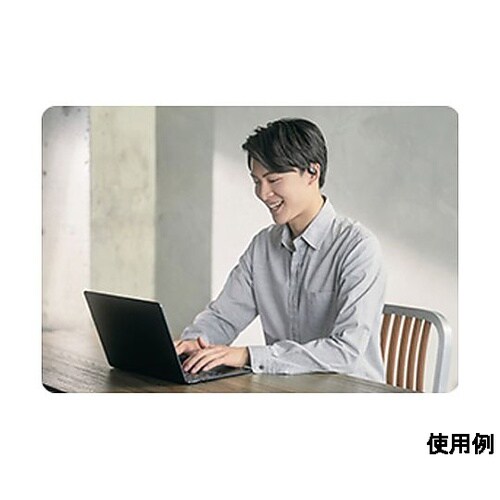 ステレオヘッドセット(ワイヤレス/フック