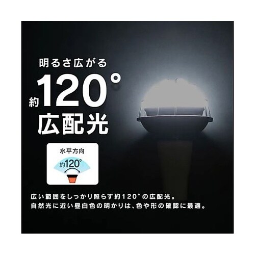 25W/口金E39 作業灯用LED球 E