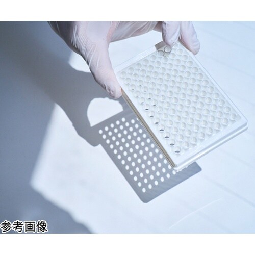 【独自の素材をプレート底面に貼れる】底な