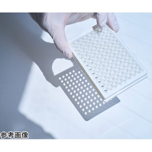 独自の素材をプレート底面に貼れる 底なし