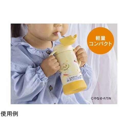 ステンレスクールボトル 0.32L アン