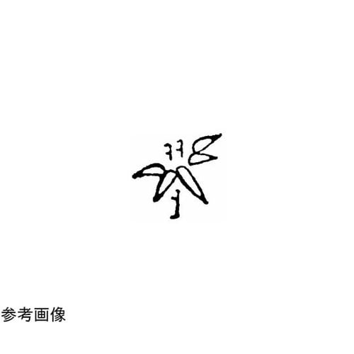 焼印 (6)1−15