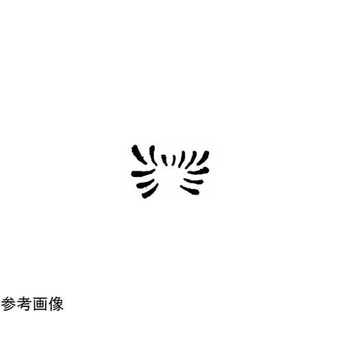 焼印 (13)1−89