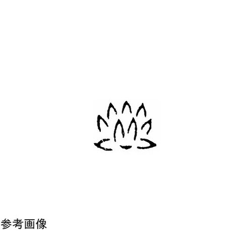 焼印 (15)1−79