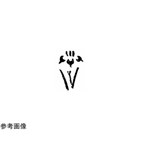 焼印 (20)1−84