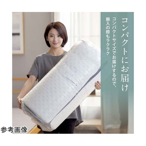 エコラテ エリート 14cm 一枚ものマ