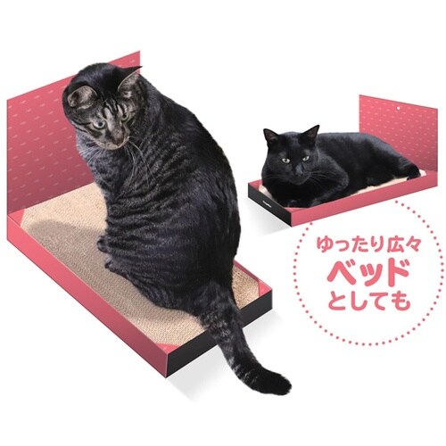 スッキリつめみがきワイド