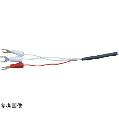 白金測温抵抗体 Pt100Ω 保護管タイ