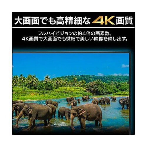 50V型ディスプレイ+スタンドセット E
