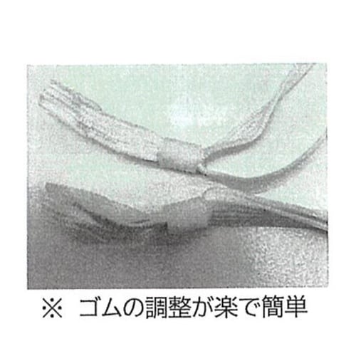 使い捨て式 防じんマスク DS2 NIO