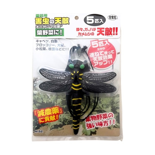 園芸用害虫の天敵オニヤンマ兄弟 1箱(5