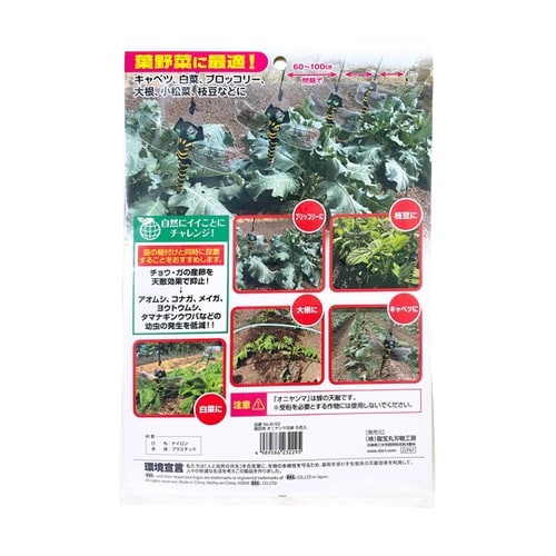 園芸用害虫の天敵オニヤンマ兄弟 1箱(5