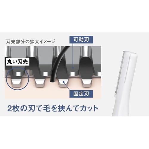 フェイスフェリエ バイオレット ES−W