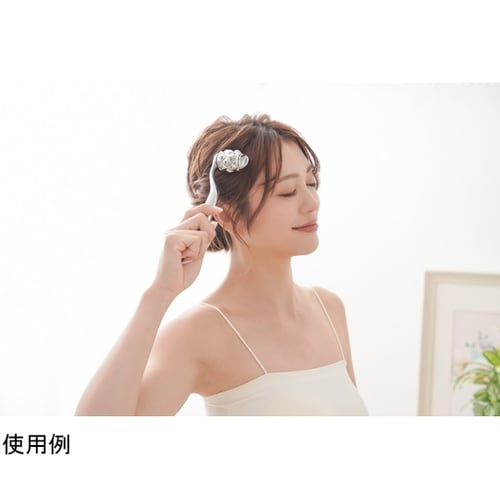 Cellshウェーブフェイシャルローラー