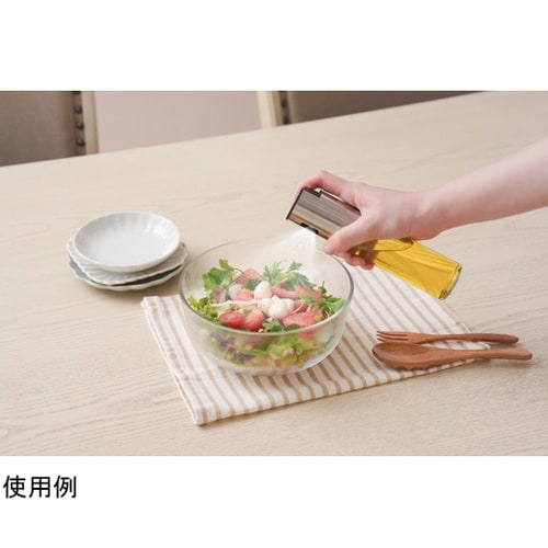 プッシュでヘルシーオイルスプレー 1−0