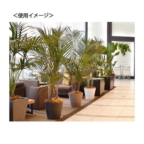 LEADSTYLE エコフレンドリーポッ