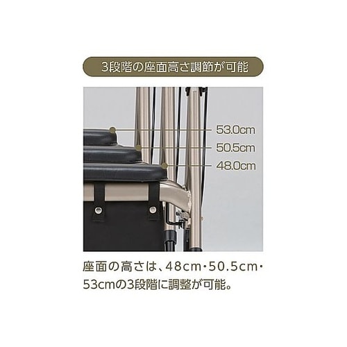 アルコーステラ トレイ・抑速ブレーキ付き