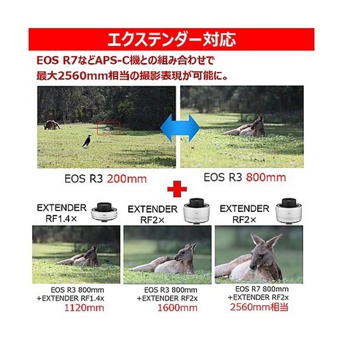 交換レンズ RF200−800mm F6