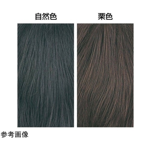 人毛100%大きめヘアピース 栗色 a3