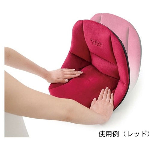 サポートクッション コシオスプレミアム