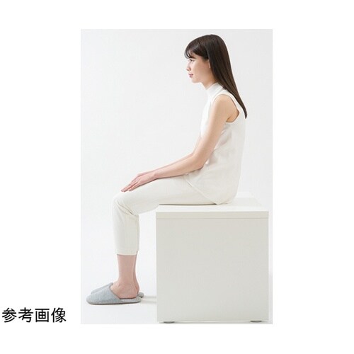 サポートクッション コシオスプレミアム