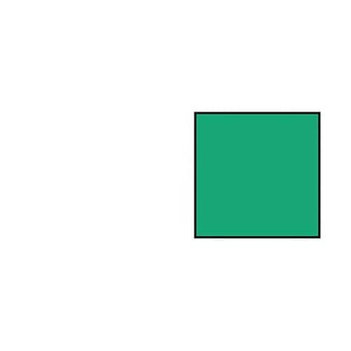 TOSS 視覚ワーキングメモリ・図形カー