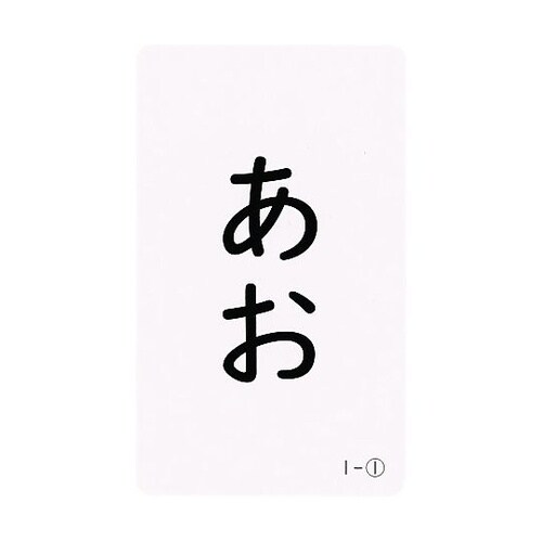 意味のある漢字カード1年生セット 108