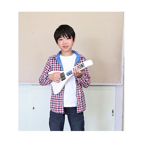 インスタコード+(プラス) IC−31