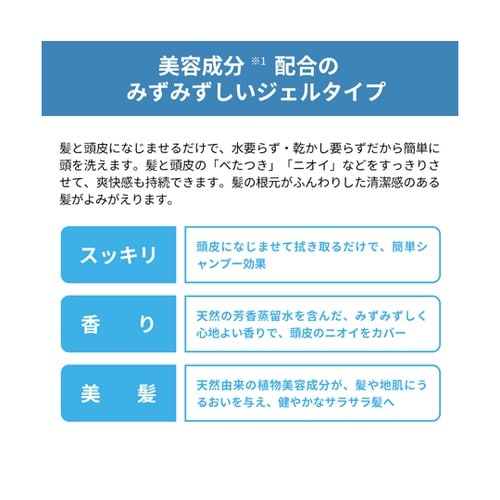 水のいらないシャンプー KO77