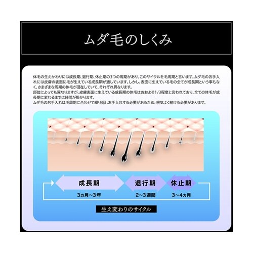 クールフラッシュボーテ OM−FM03