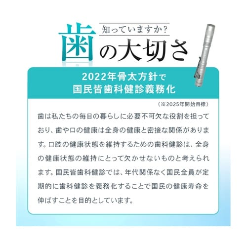 デンタルプラークチェックライト ブラック