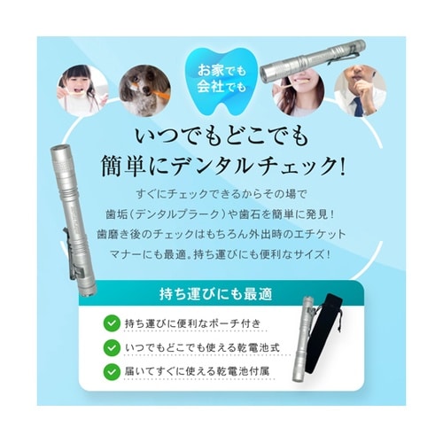 デンタルプラークチェックライト ブラック