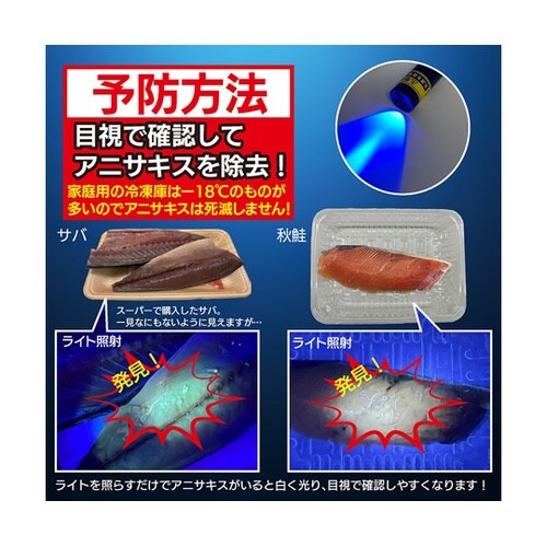 アニサキスチェックライト OMC−ANC