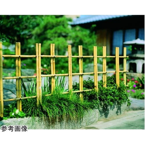 四目垣 75号 #56820