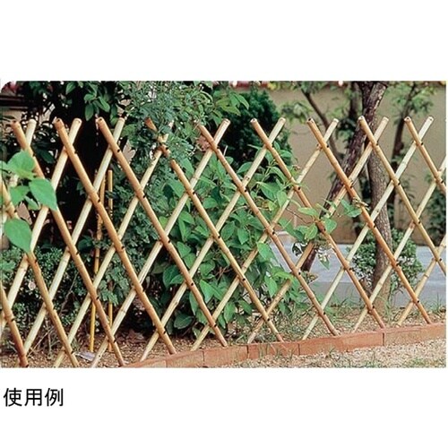 竹垣君 #57035