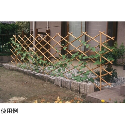 竹垣君 #57035