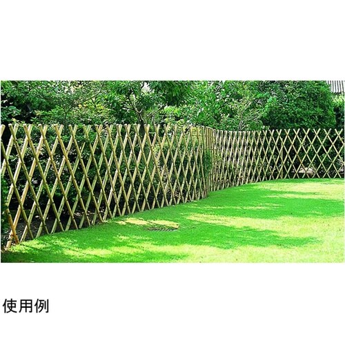 セミロング竹垣君 #57038
