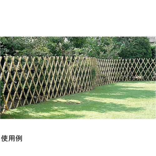 セミロング竹垣君 #57038